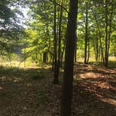 Review photo of Tranquility Campground by Julie H., June 1, 2019