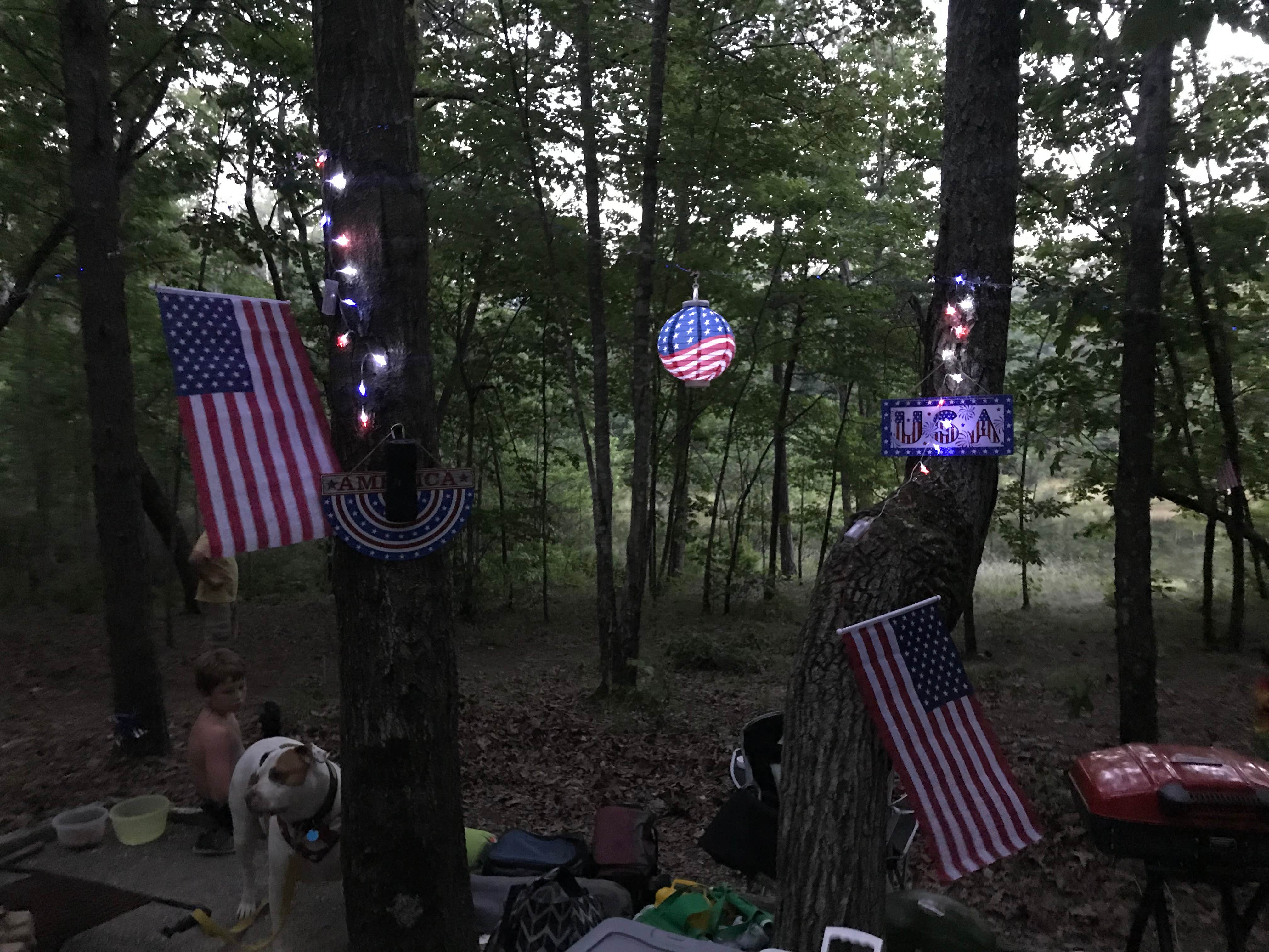 Camper submitted image from Tranquility Campground - 3