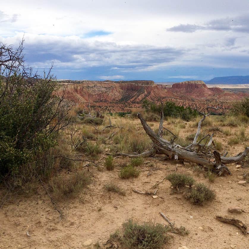 Riana Abiquiu Lake Camping The Dyrt