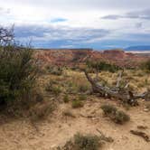 Review photo of Riana - Abiquiu Lake by Warren K., August 31, 2016