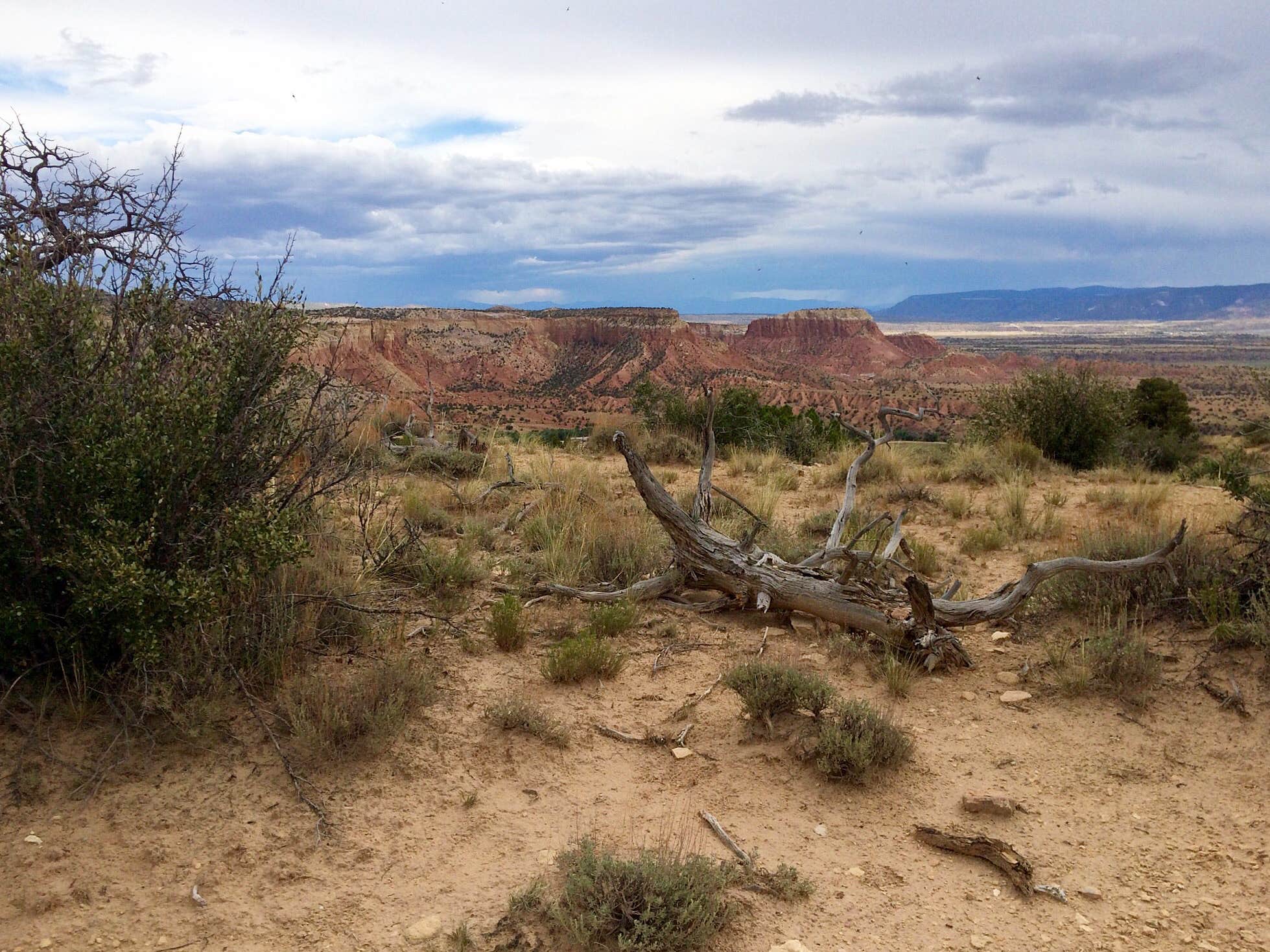 Camper submitted image from Riana - Abiquiu Lake - 2