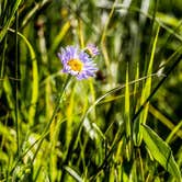 Review photo of Ferron Reservoir Campground — Manti La Sal National Forest by Derek E., June 1, 2019