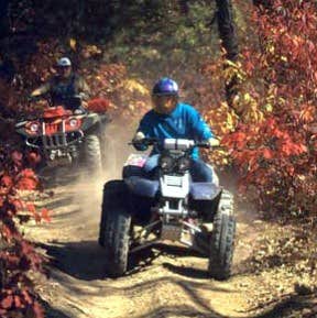 Camping near Magnus Park Campground: Chandler Hill Campground, Wolverine, Michigan
