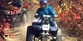 Camper submitted image from Chandler Hill Campground