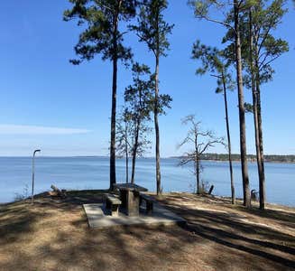 Camper-submitted photo from COE Sam Rayburn Reservoir Twin Dikes Park