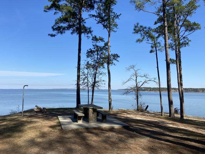 Camper submitted image from COE Sam Rayburn Reservoir Twin Dikes Park - 3