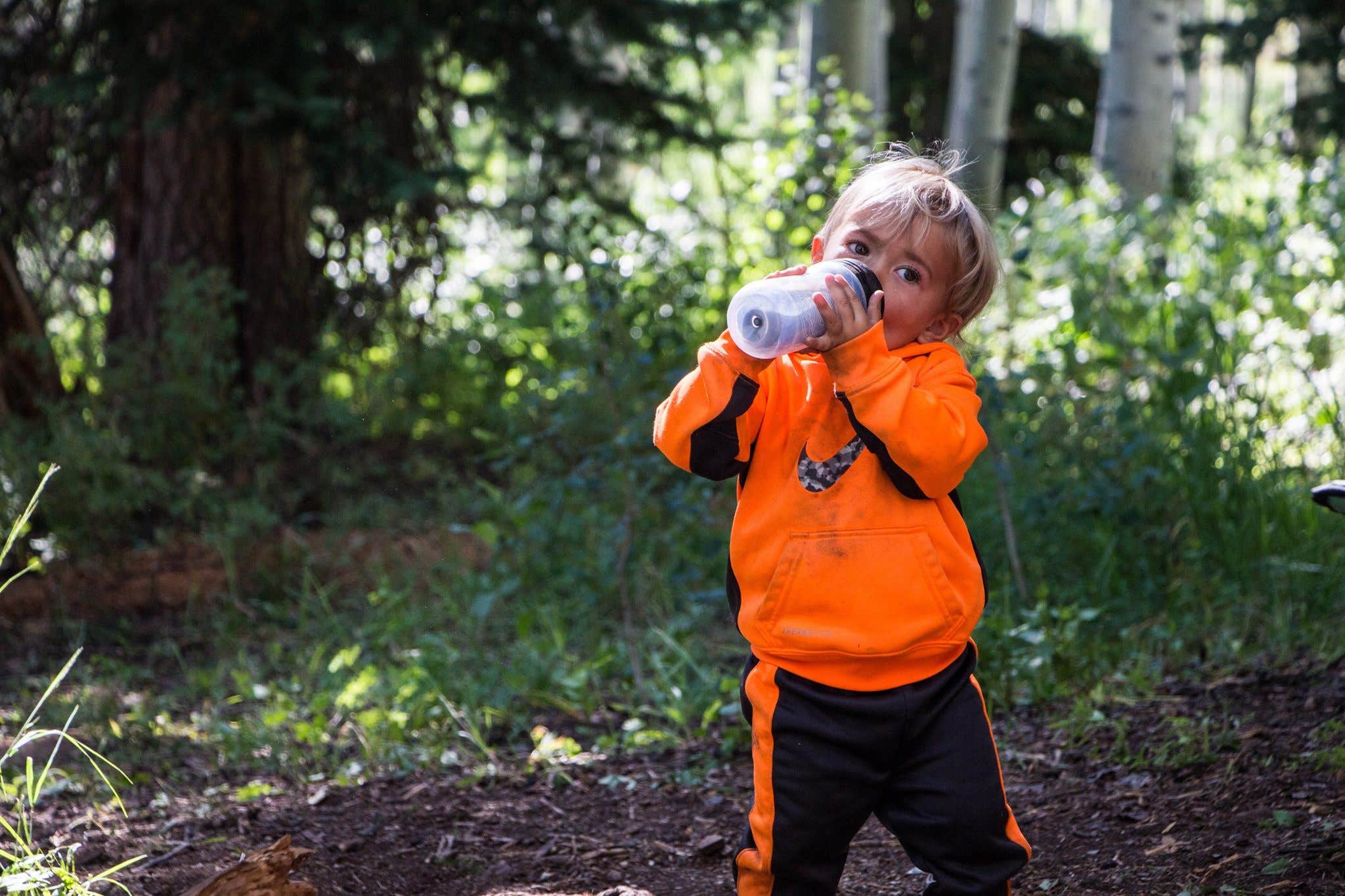 Camper-submitted photo at Soapstone Basin Dispersed Camping near Duchesne, UT