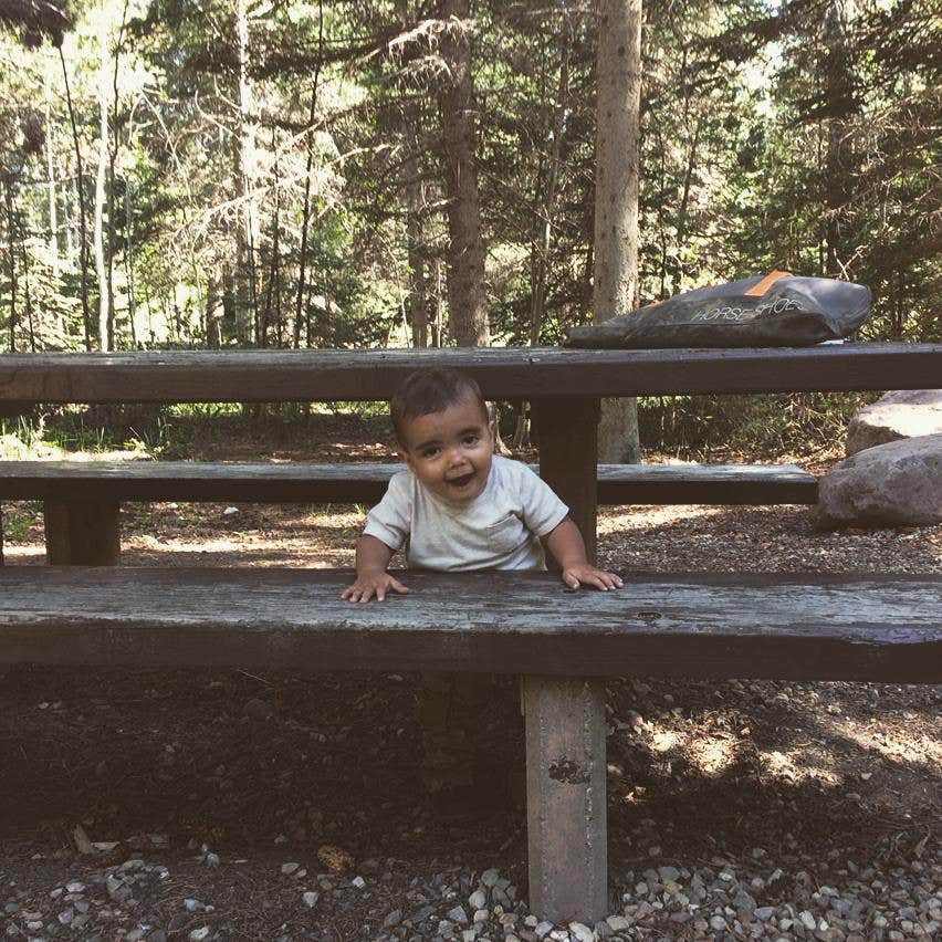 Camper submitted image from Aspen (UT) - 3