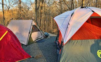 Melissa W.'s photo at McDowell Nature Preserve near Charlotte, NC