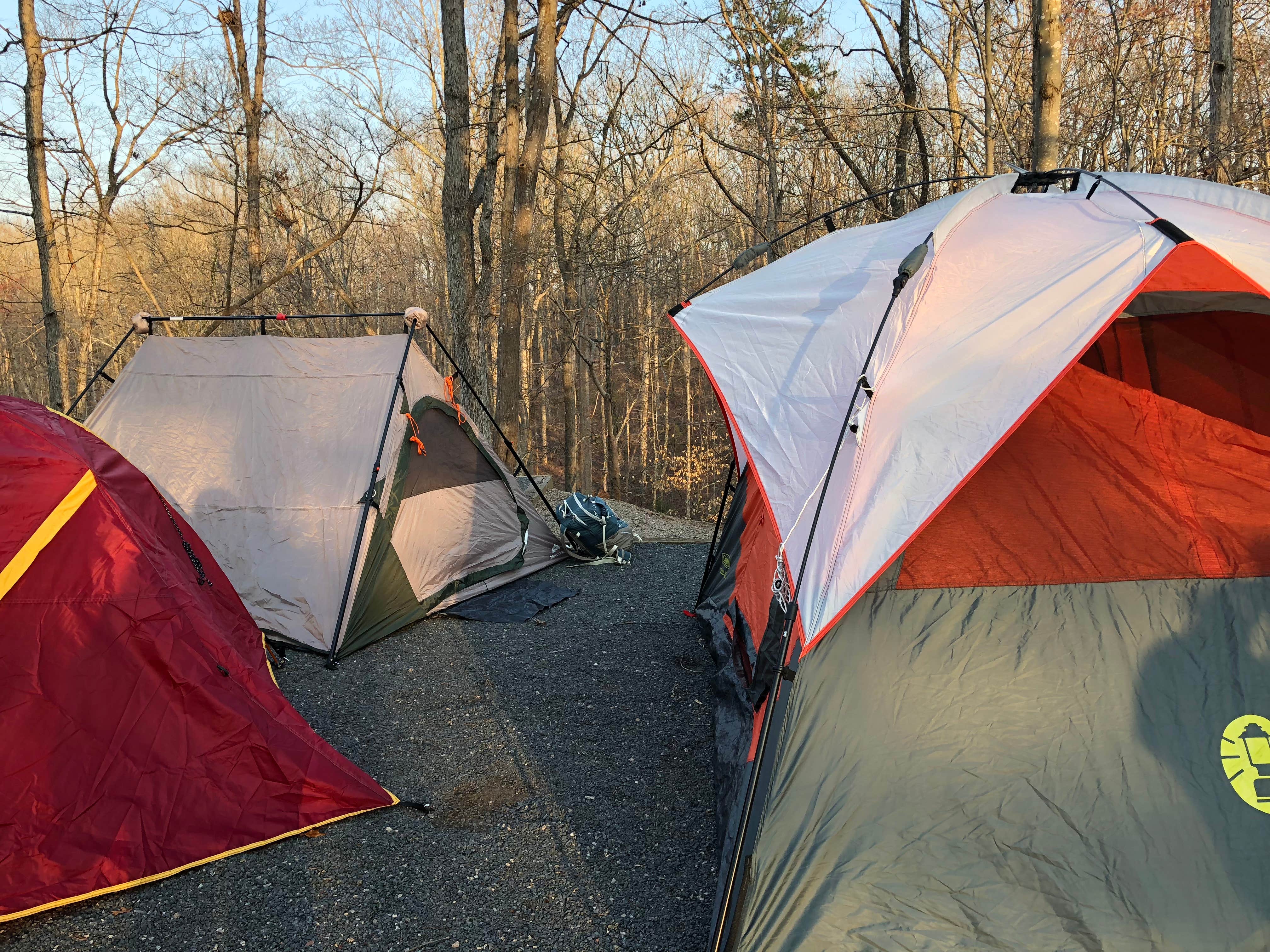 Melissa  W.'s photo at McDowell Nature Preserve near Chester, SC