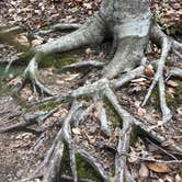 Review photo of McDowell Nature Preserve by Melissa  W., June 1, 2019