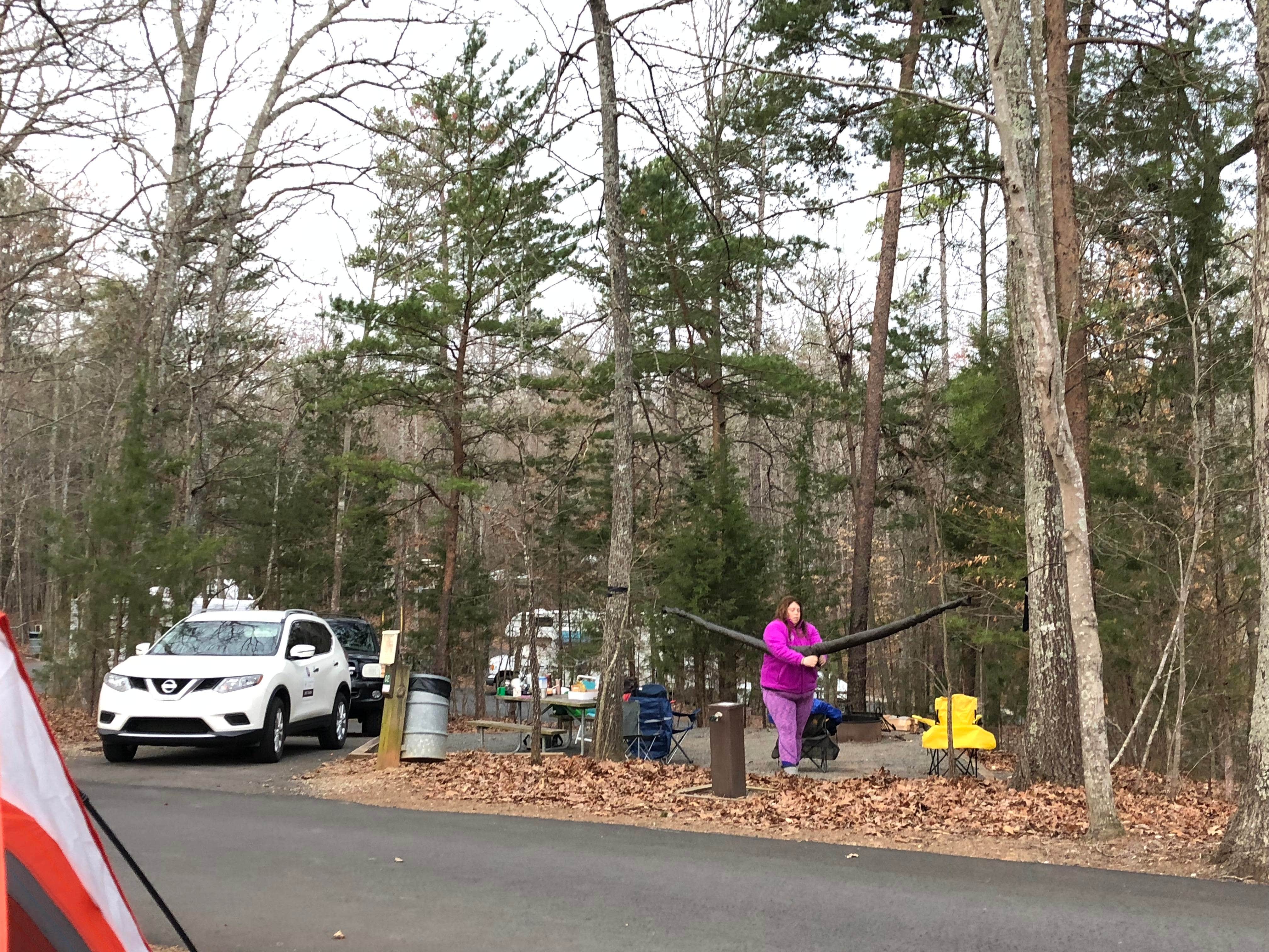 Camper submitted image from McDowell Nature Preserve - 4