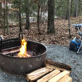 Review photo of McDowell Nature Preserve by Melissa  W., June 1, 2019