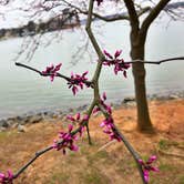 Review photo of McDowell Nature Preserve by Melissa  W., June 1, 2019