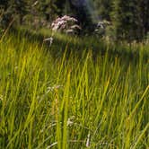 Review photo of Red Pine Lake by Derek E., June 1, 2019