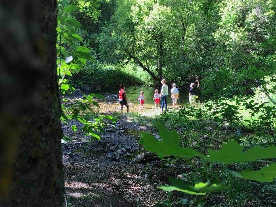 Camper submitted image from Friendship Campground - 4