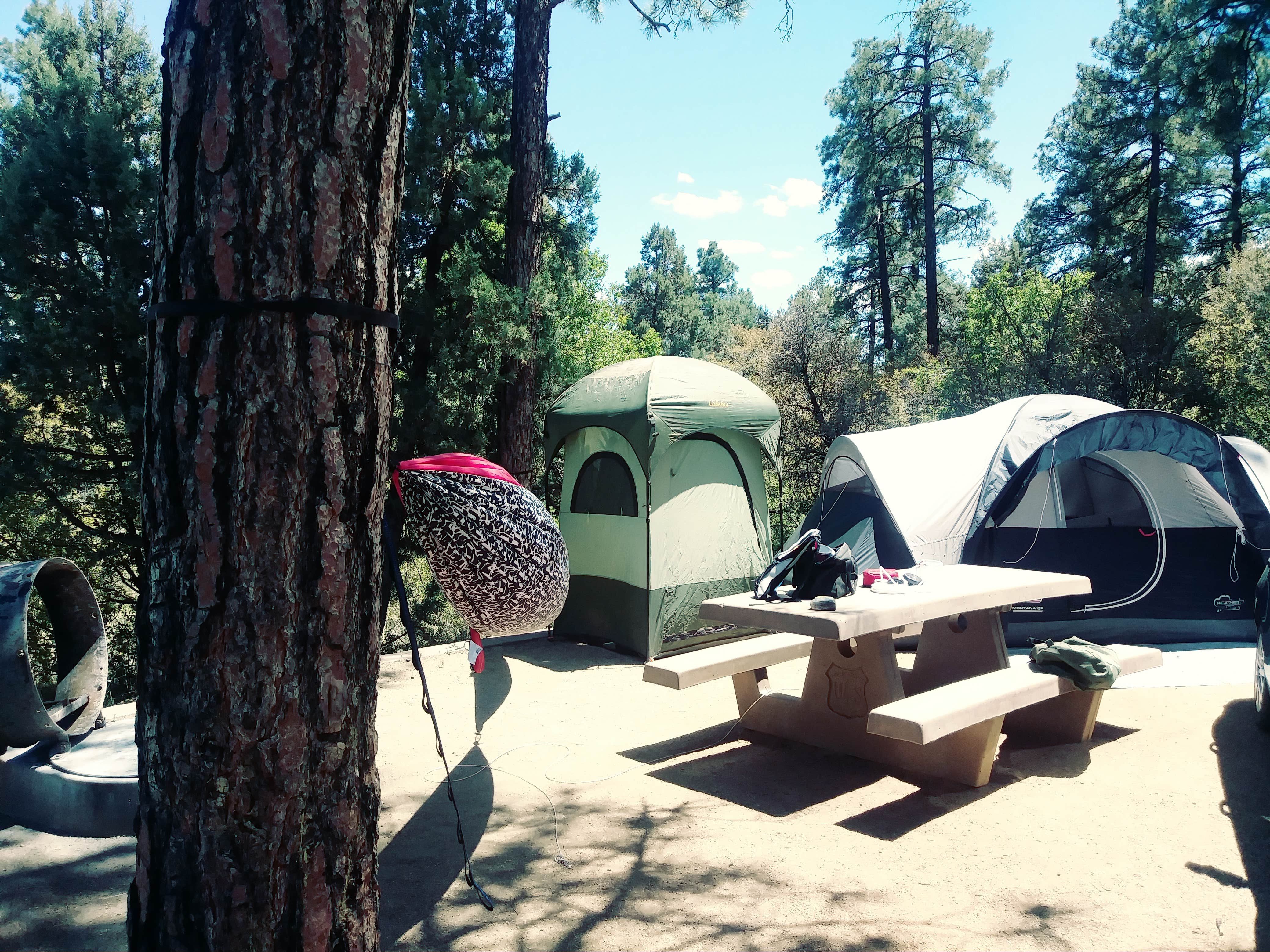 Kim M.'s photo at Lynx Lake Campground near Mayer, AZ