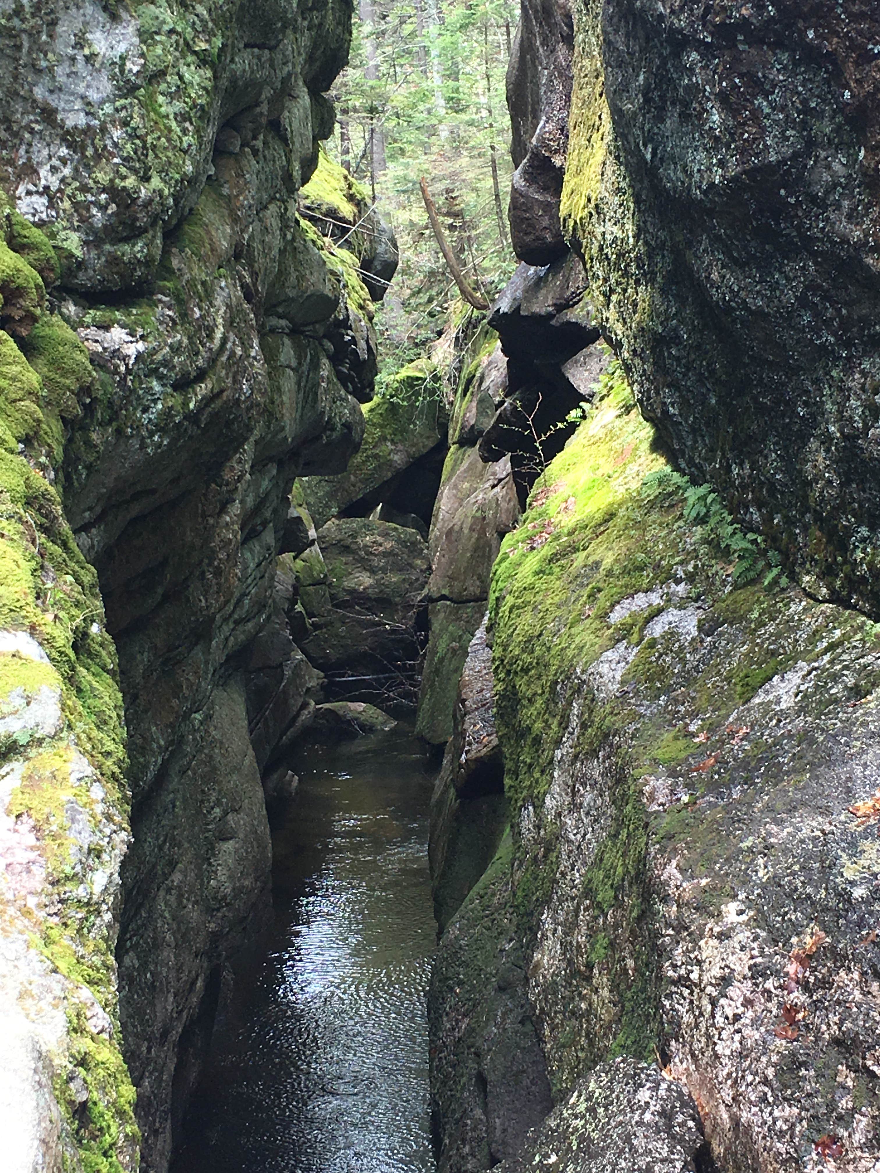 Camper-submitted photo at Mollidgewock State Park Campground near Rangeley, ME