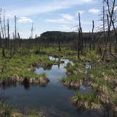 Review photo of Mollidgewock State Park Campground by Rachel P., June 1, 2019