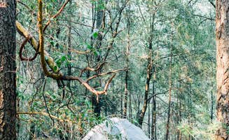 Joe S.'s photo at Pine Grove Cobb Resort near Lakeport, CA