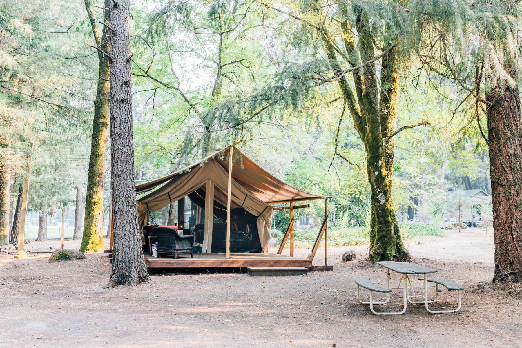 Joe S.'s photo of a cabin at Pine Grove Cobb Resort near Sebastopol, CA