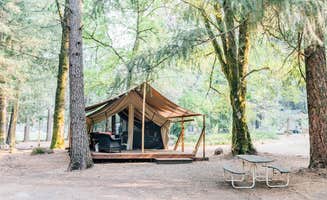 Joe S.'s photo of a cabin at Pine Grove Cobb Resort near Cobb, CA