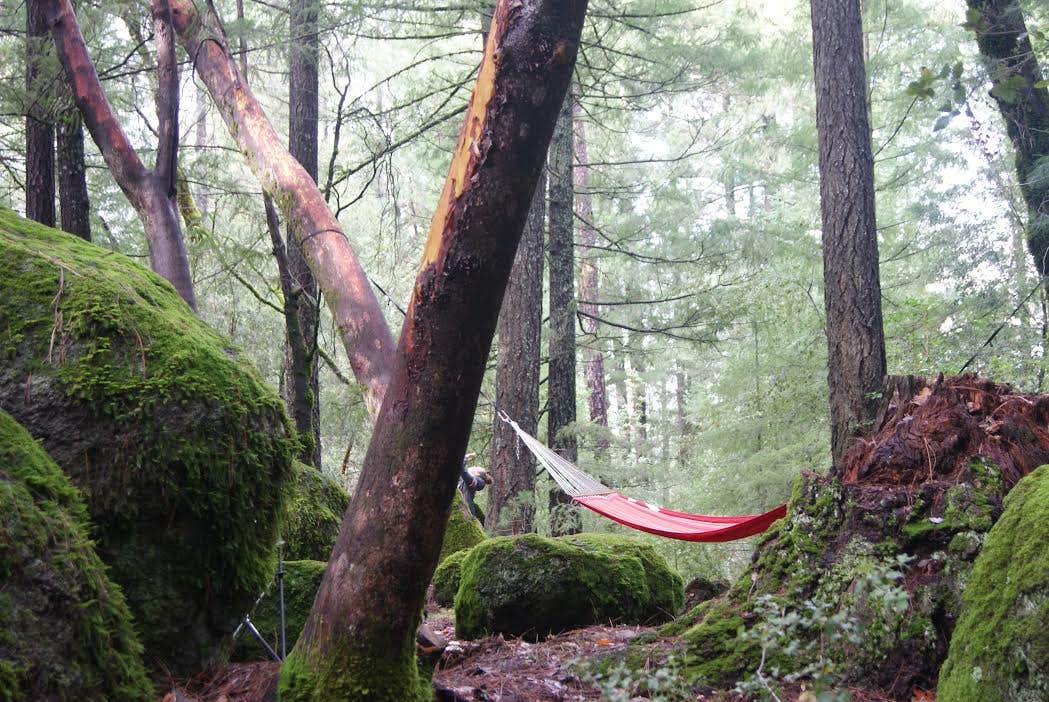 Camper-submitted photo at Pine Grove Cobb Resort near Fulton, CA