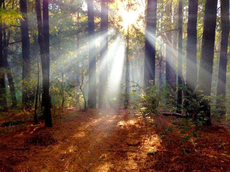 Camper-submitted photo at Pine Grove Cobb Resort near Middletown, CA