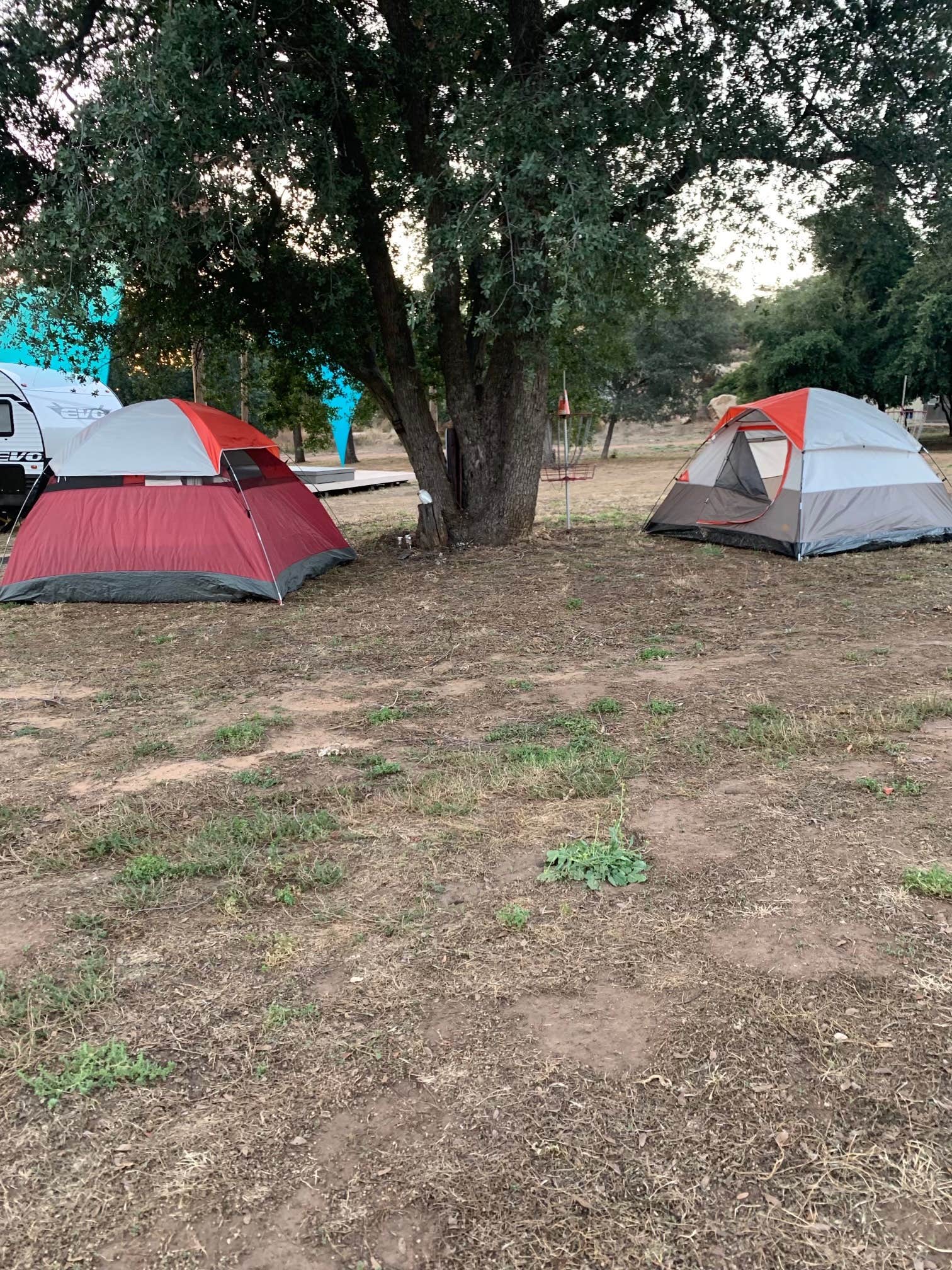 Camper-submitted photo at GoodVibes Ranch & Farm near Bonita, CA