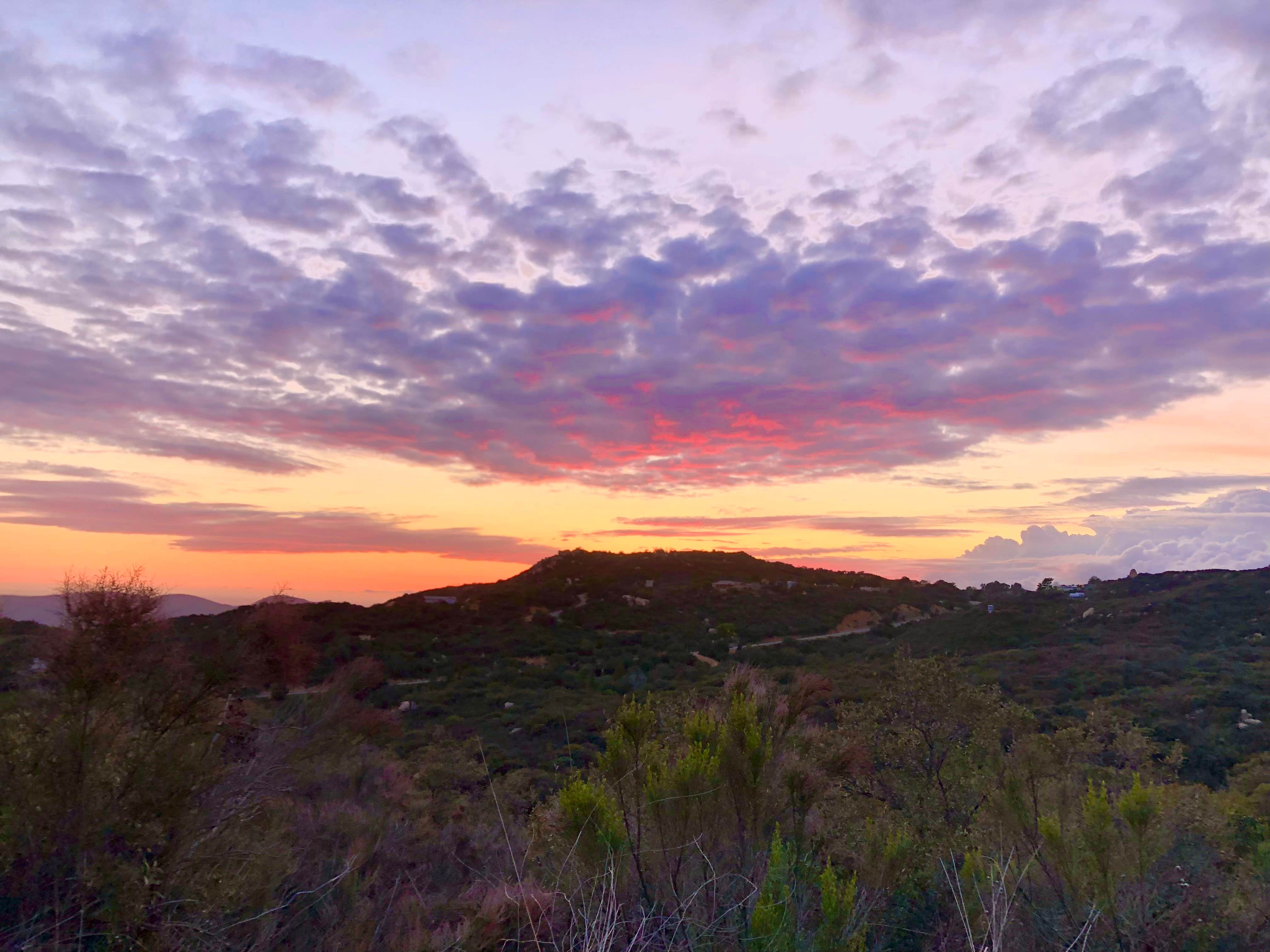 Camper-submitted photo at GoodVibes Ranch & Farm near Bonita, CA