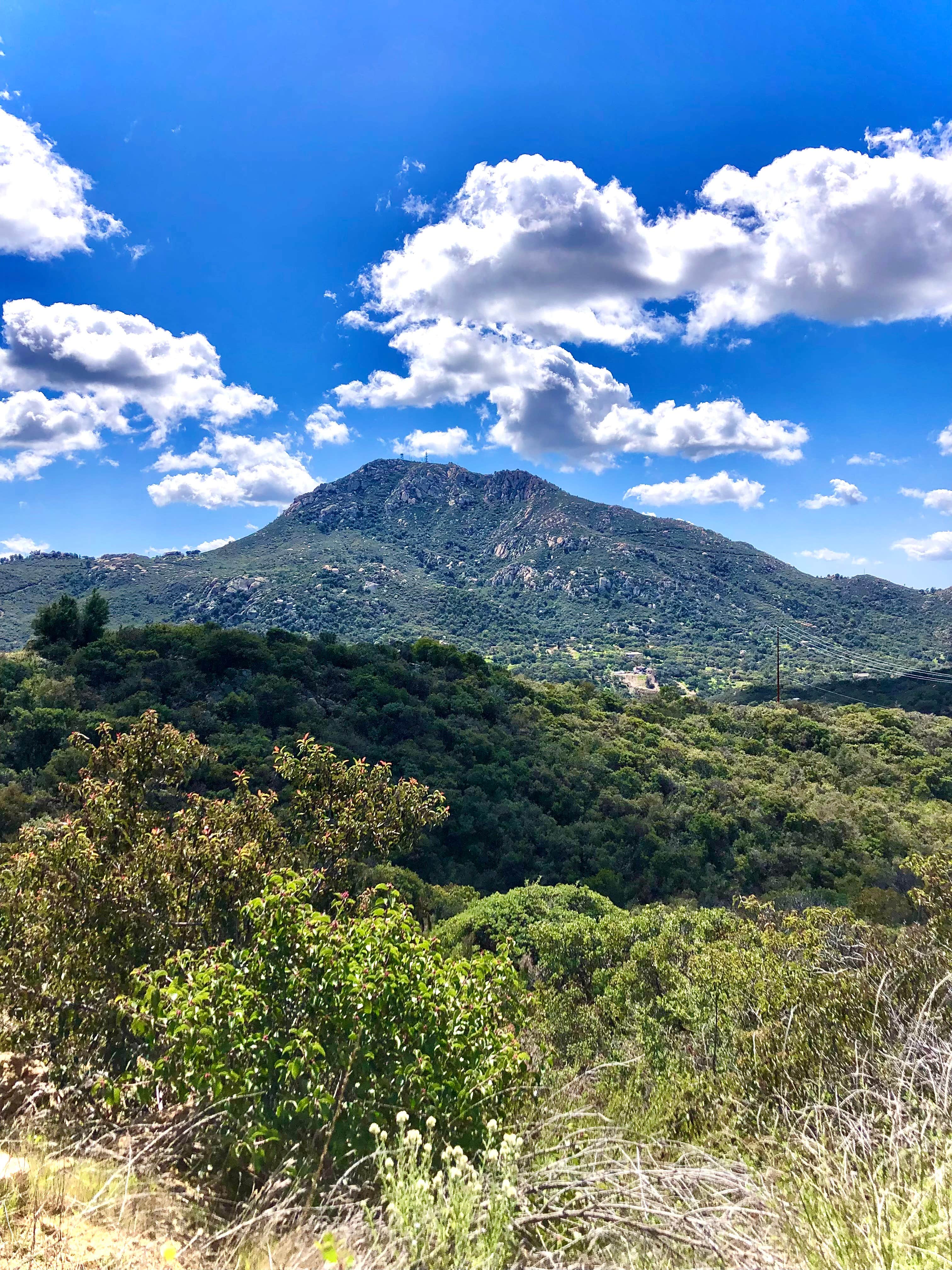 GoodVibes Ranch & Farm