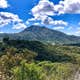 GoodVibes Ranch & Farm