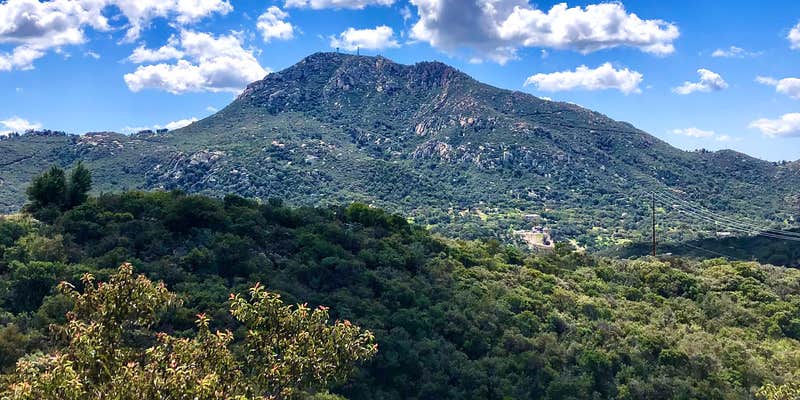 Camper submitted image from GoodVibes Ranch & Farm