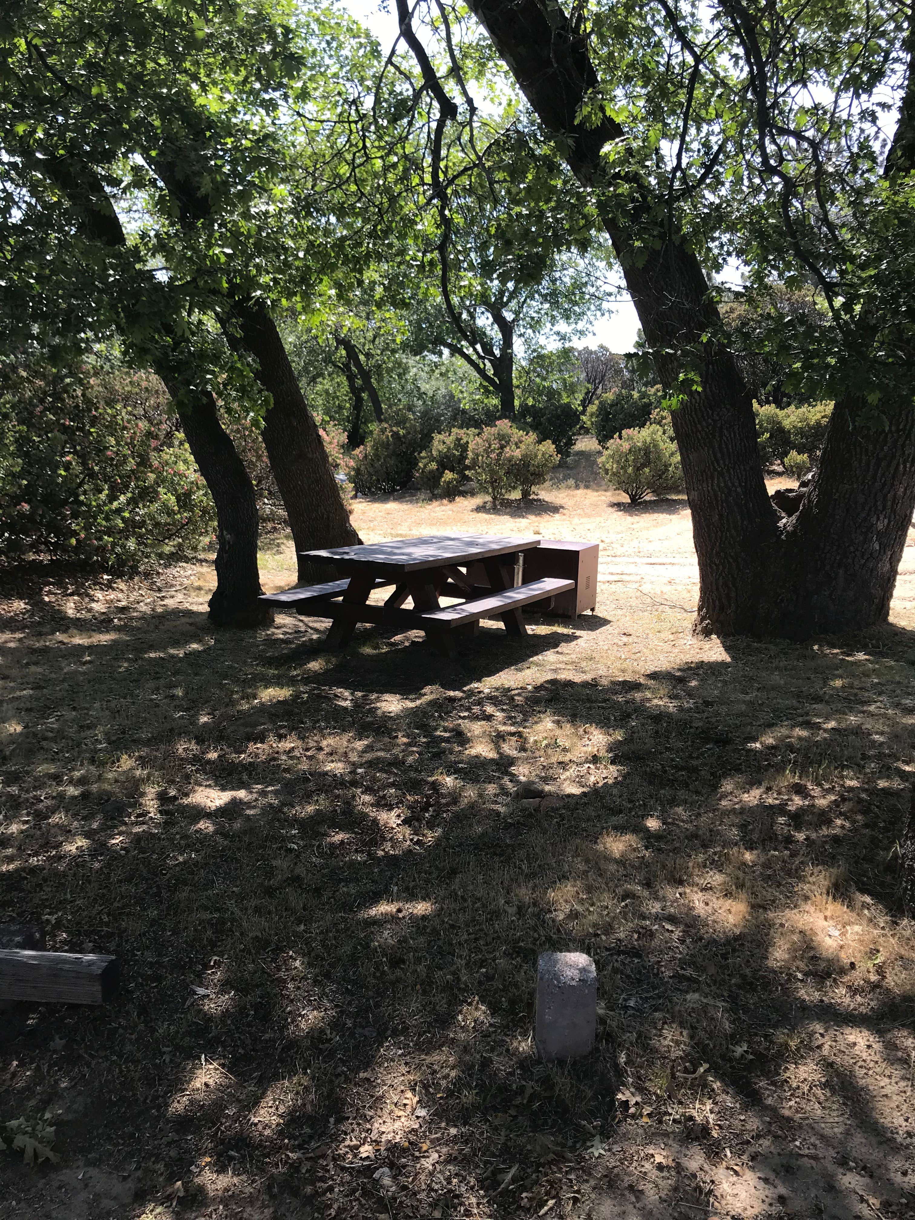 Camper submitted image from North Shore Campground - Lake Almanor - 4