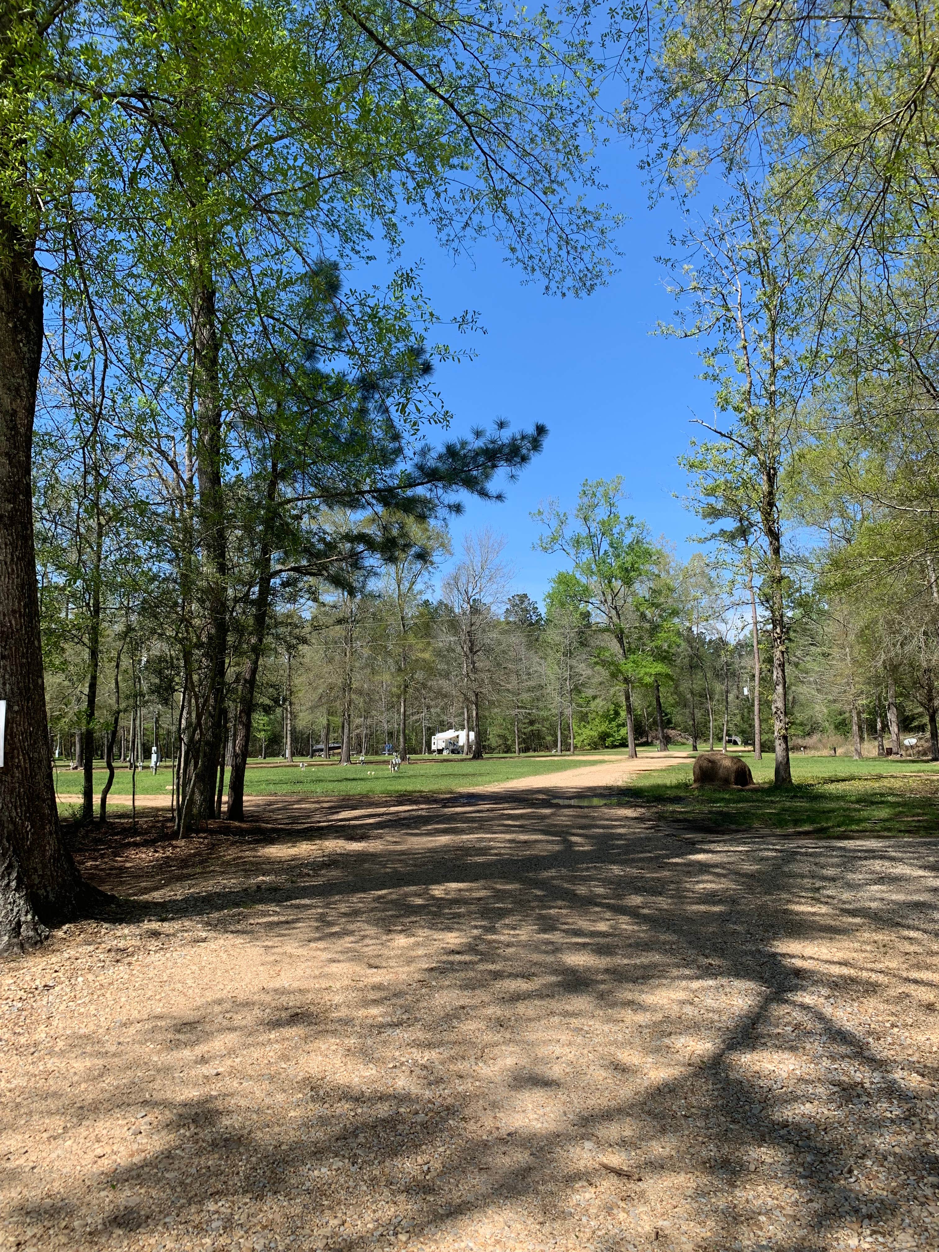 Camper-submitted photo at Knight Acres Campground near Franklinton, LA