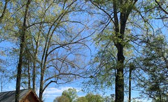 Camping near Hidden Springs: Knight Acres Campground, Franklinton, Louisiana