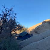 Review photo of Jumbo Rocks Campground — Joshua Tree National Park by Saeid B., June 1, 2019