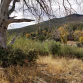 Review photo of Paso Picacho Campground — Cuyamaca Rancho State Park by Shannon F., June 1, 2019