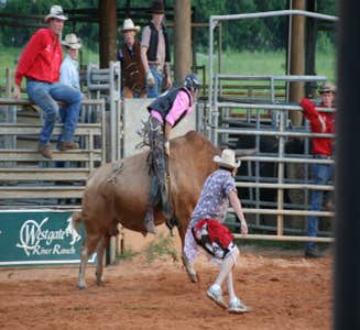 Camper-submitted photo from Westgate River Ranch Resort & Rodeo