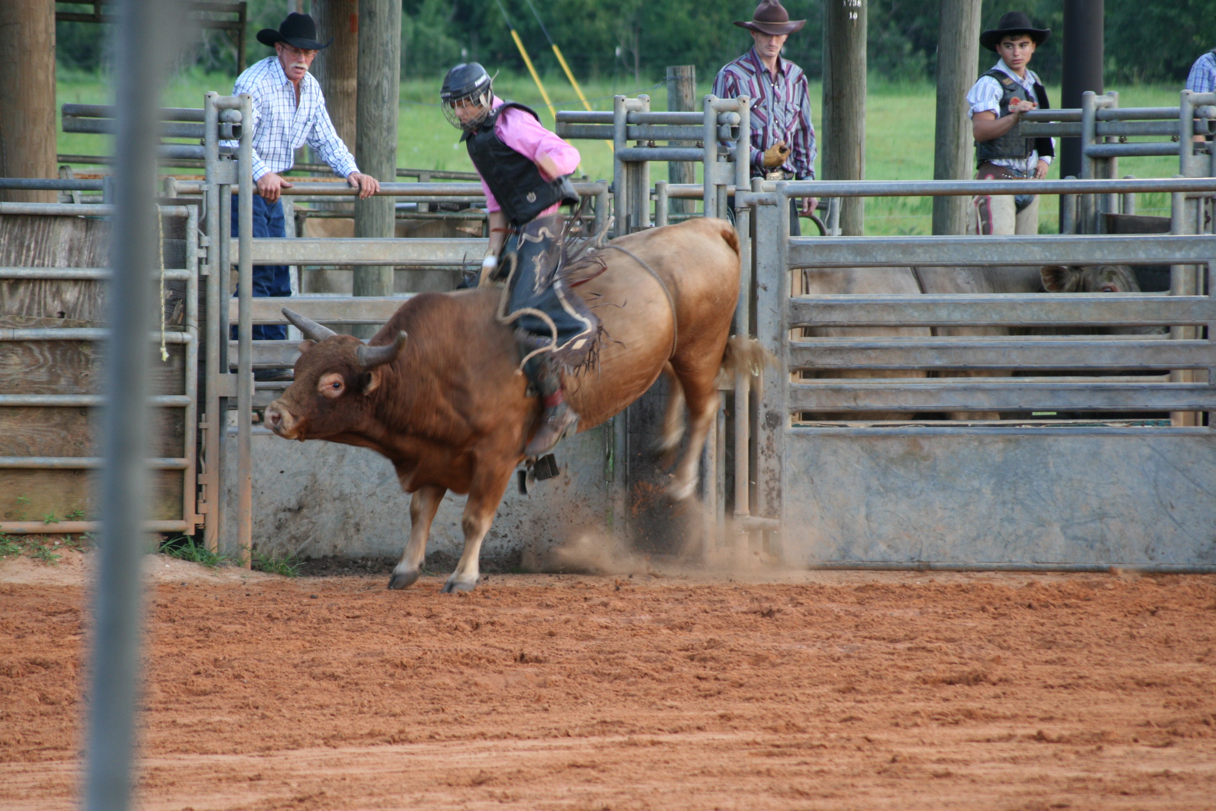 Camper submitted image from Westgate River Ranch Resort & Rodeo - 3