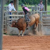 Review photo of Westgate River Ranch Resort & Rodeo by Christy C., August 31, 2016