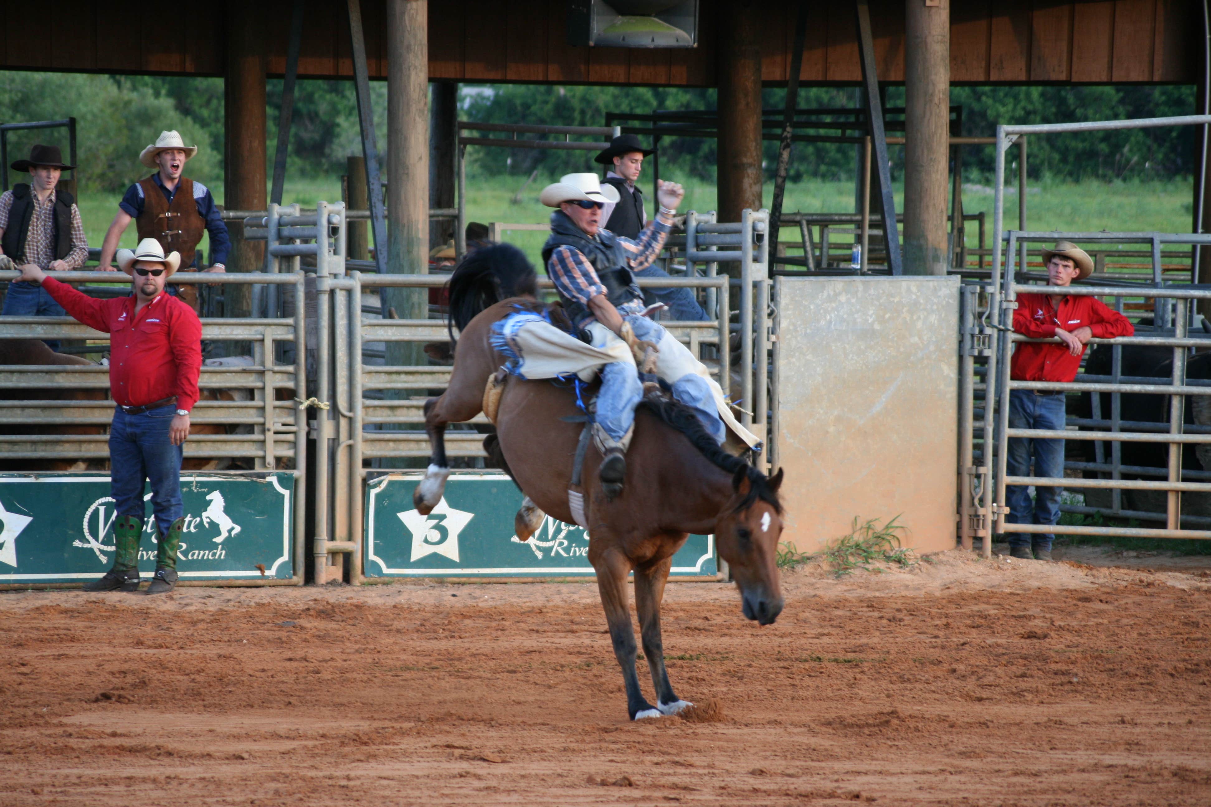 Christy C.'s photo of camping with a horse at Westgate River Ranch Resort & Rodeo near Merritt Island, FL