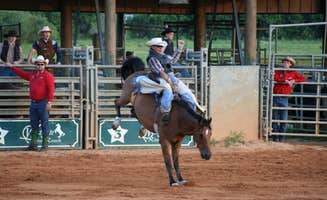Christy C.'s photo of camping with a horse at Westgate River Ranch Resort & Rodeo in Florida