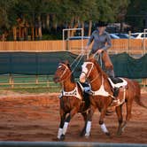 Review photo of Westgate River Ranch Resort & Rodeo by Christy C., August 31, 2016