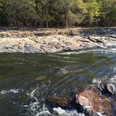 Review photo of Beavers Bend State Park Campground by Richard , June 2, 2019