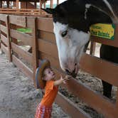 Review photo of Westgate River Ranch Resort & Rodeo by Christy C., August 31, 2016