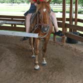 Review photo of Westgate River Ranch Resort & Rodeo by Christy C., August 31, 2016