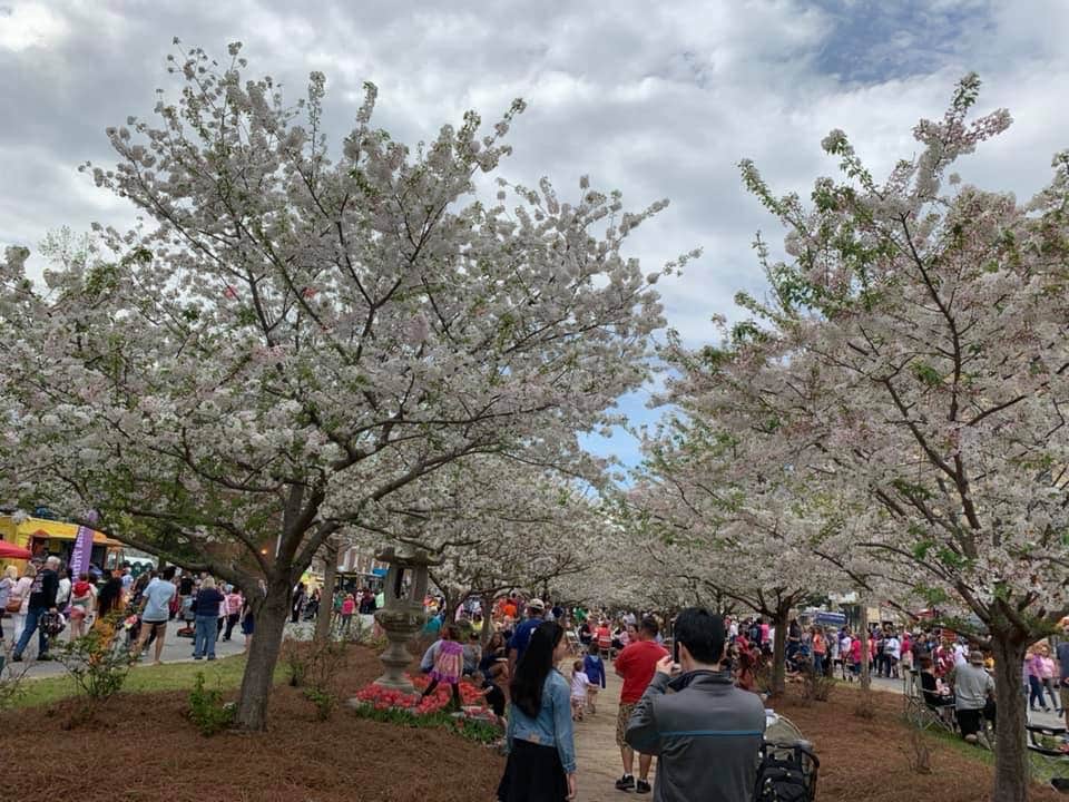 Camper-submitted photo at Arrowhead Park near Warner Robins, GA