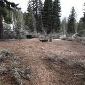 Review photo of North Canyon Campground by Jason E., June 2, 2019