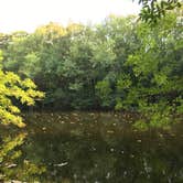 Review photo of Longleaf Campground — Congaree National Park by Phil L., August 31, 2016